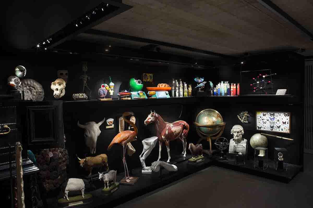 Le cabinet de curiosités du Musée L
