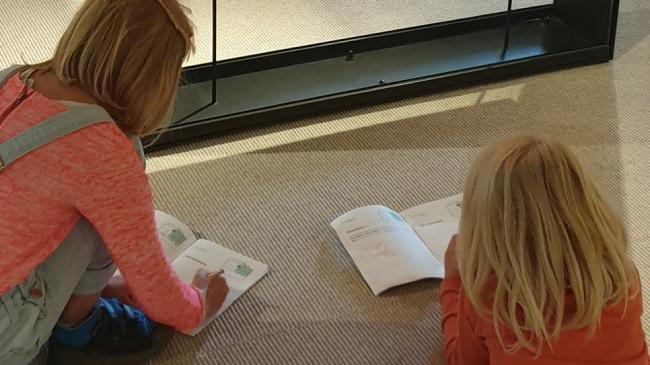 Carnet d'exploration