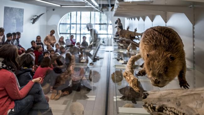 Journée familles nature