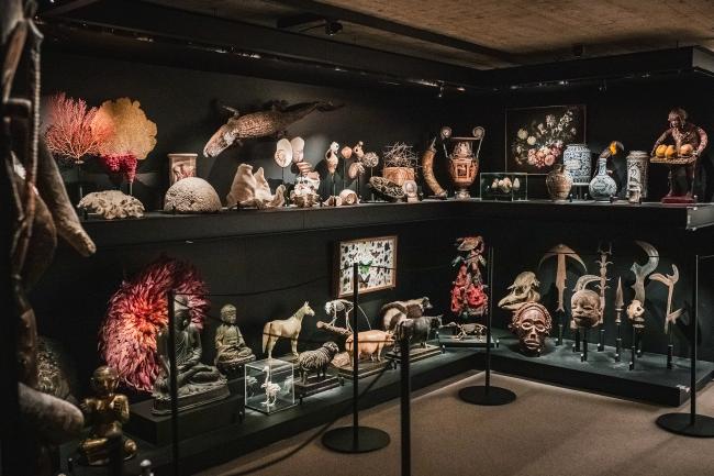 Vue du cabinet de curiosités du Musée L