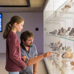 Collections paléontologiques de l'UCLouvain